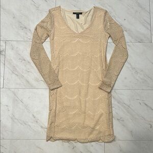 Elegant Cream Lace Dress